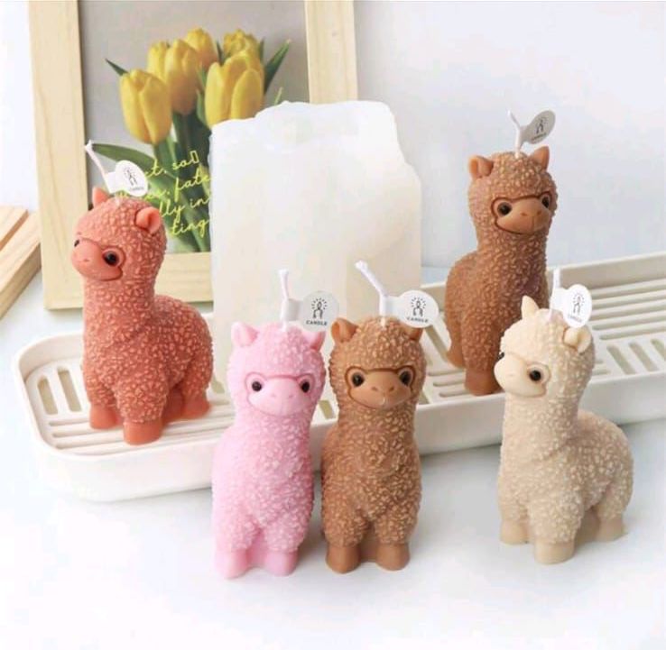 WhatsApp-Image-2025-05-13-at-18.09.30