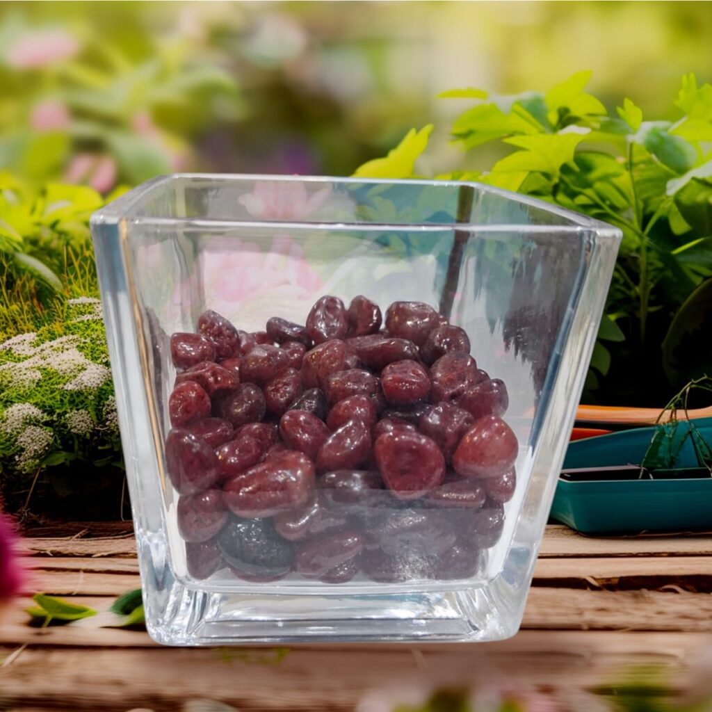 WhatsApp-Image-2025-05-13-at-19.43.19-1024x1024