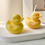 Imported duck mold