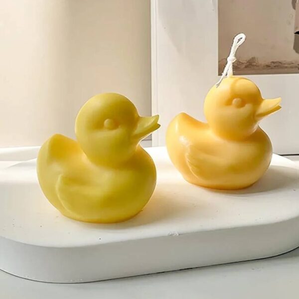 Imported duck mold